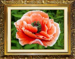 N-355 Алмазная мозаика Милато "Восточный мак"