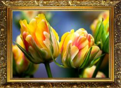 NR-16 Алмазная мозаика Милато "Магия цветов"