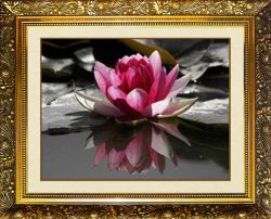 N-359 Алмазная мозаика Милато "Лотос на пруду"