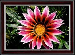 Алмазная мозаика с рамкой PSP "Гацания" С-0016