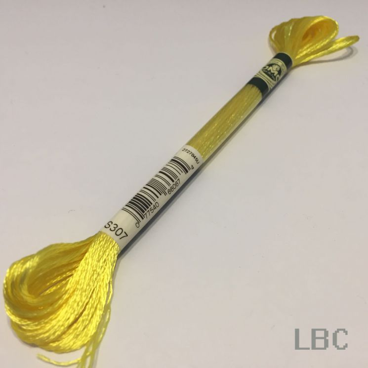 S307 Мулине DMC Satin, арт. 1008F, 8 м