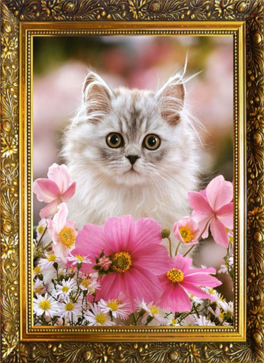 NR-29 Алмазная мозаика Милато "Очаровашка"