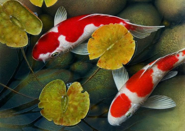 Алмазная мозаика Гранни "Карпы" Ag470