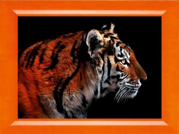 Алмазная мозаика Милато "Устремленный взгляд" N-281