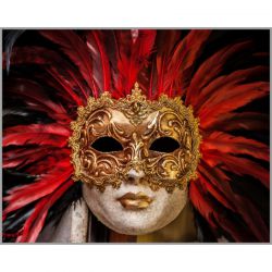 F-419  Алмазная мозаика Милато "Дама из Венеции"