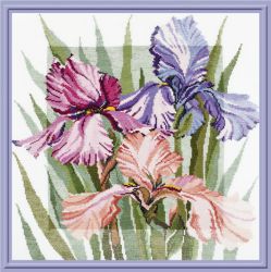 341 Цветущие ирисы (Овен)