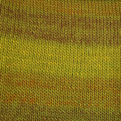 Пряжа ПЕХОРКА Ровница Мультиколоровая // 094 // 1018 М // Горчичный меланж