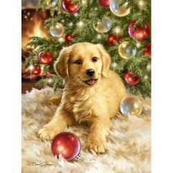 GX4268 "Новогодний подарок" (Paintboy)