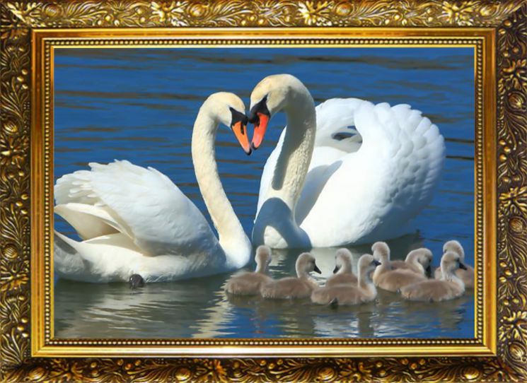 NR-51 Алмазная мозаика Милато "Лебединая семья"