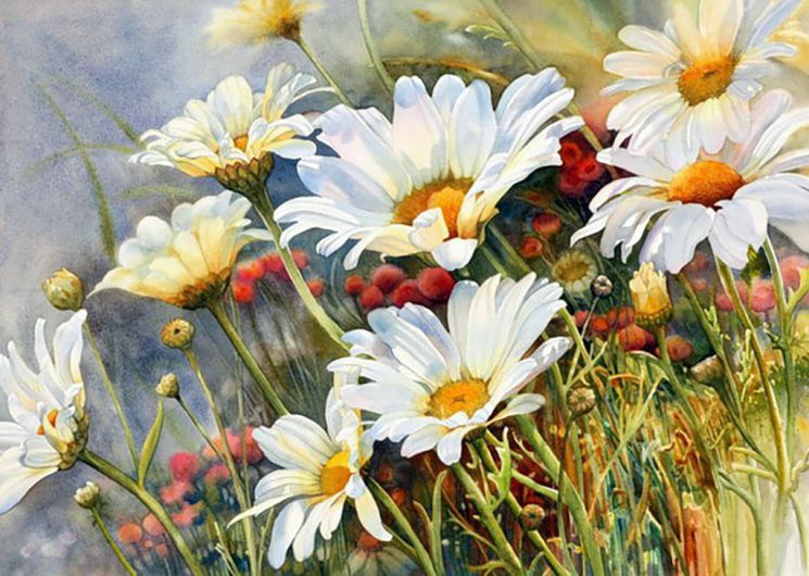 Алмазная мозаика Гранни "Полевые ромашки" Ag4644