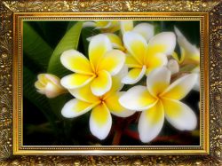 NR-62 Алмазная мозаика Милато "Желтая плюмерия"