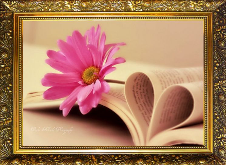 NR-64 Алмазная мозаика Милато "Романтическое чтение"