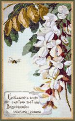 623 Белая акация (Овен)