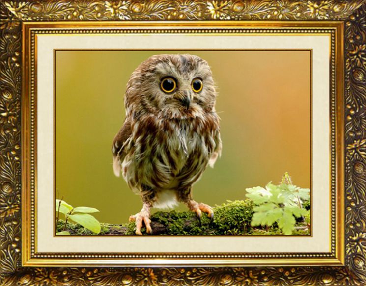 SP-23 Алмазная мозаика МИЛАТО "Милый совенок"