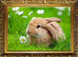 NR-1 Алмазная мозаика Милато "В поле с ромашкой"