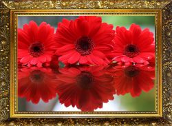 NR-4 Алмазная мозаика Милато "Красота отражения"