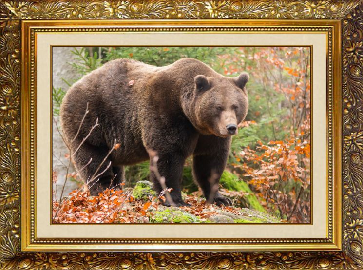 F-365 Алмазная мозаика МИЛАТО "Хозяин леса"