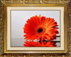 N-107 Алмазная мозаика Милато "Гербера алая"