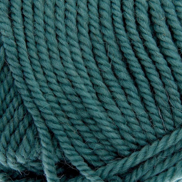 Пряжа ПЕХОРКА Зимний вариант // 016 // 574 // Тайфун