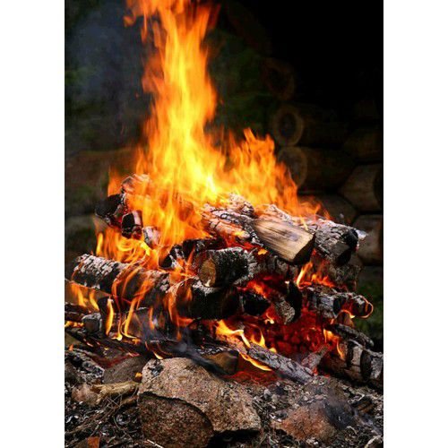 Алмазная мозаика Гранни "Огонь" Ag1012