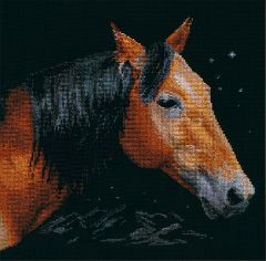 1-18 Набор для вышивания Алиса "Альтаир"