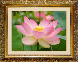 N-123 Алмазная мозаика Милато "Лотос"