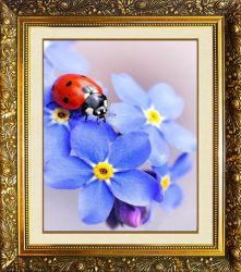 N-351 Алмазная мозаика Милато "Незабудки"